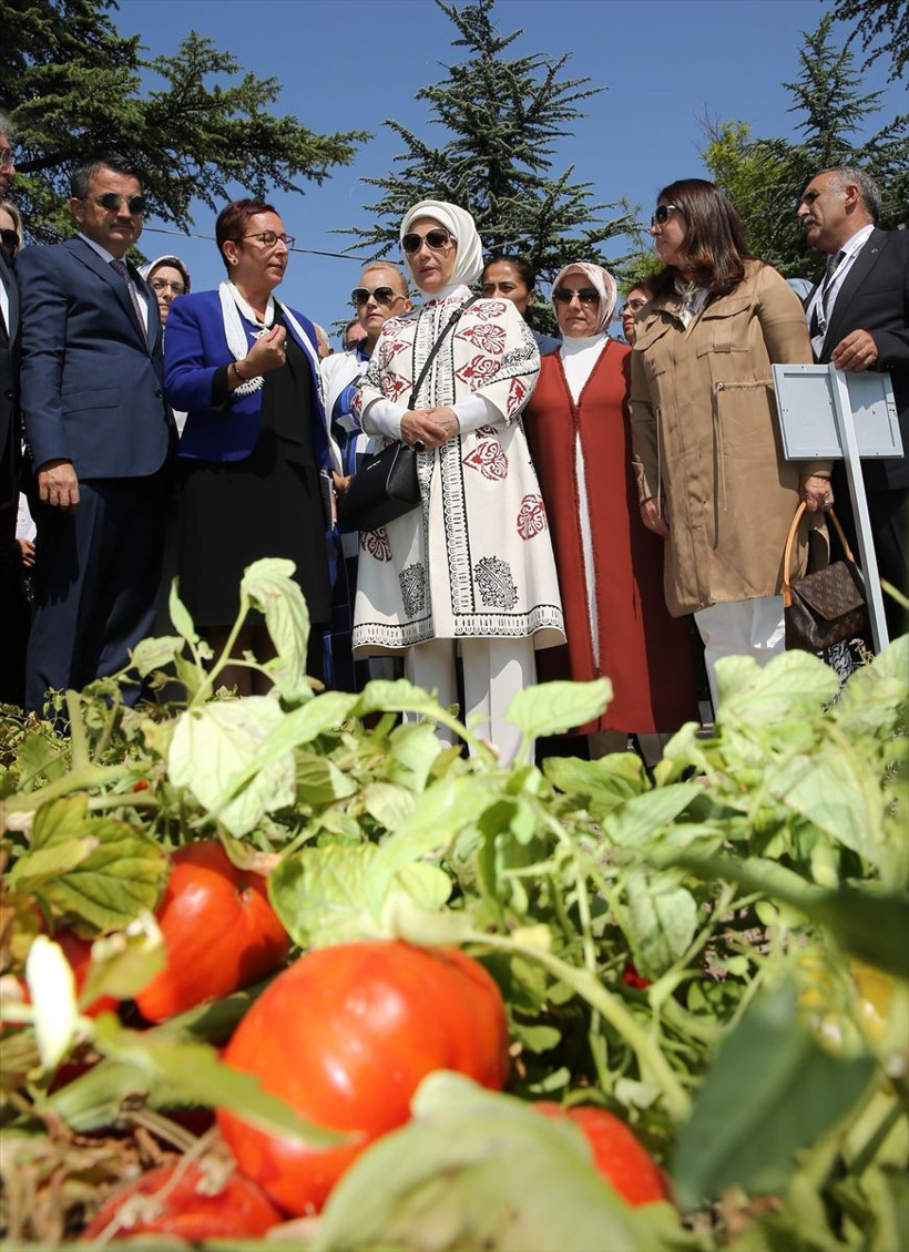 Emine Erdoğan "Ata Tohumu Projesi" tanıtım toplantısına katıldı sebzeleri kokladı - Resim: 3
