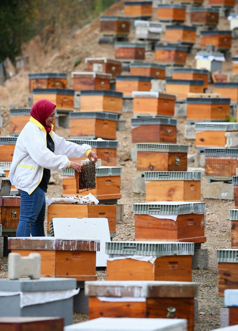 İzmir'de memurluktan vazgeçip bu işe başladı! Paraya para demiyor: 2'den 450'ye çıkardı - Resim: 3