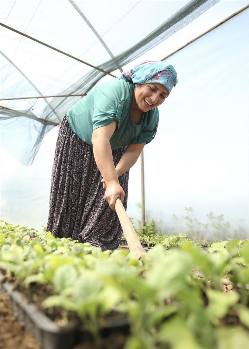 Necla hemşire işini bırakıp köyüne yerleşti! Çocukluğundaki hayalini gerçekleştirdi - Resim: 3