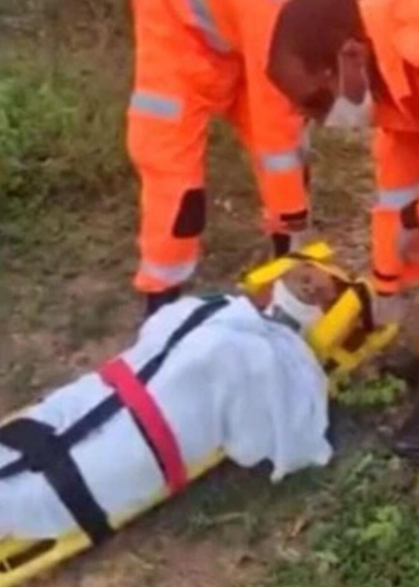 Ormanda çığlıklar ekipleri harekete geçirdi! Kadını gören ekipler şok oldu - Resim: 1