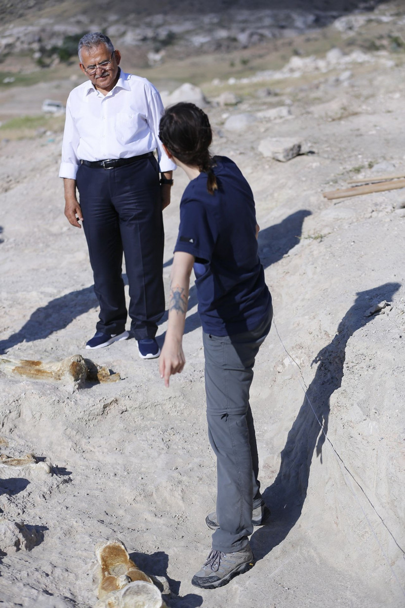 Kayseri'de kazı çalışmalarında 7,5 milyon yıllık fosiller bulundu! - Resim: 1