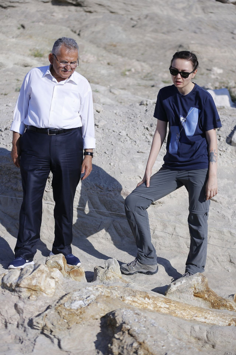 Kayseri'de kazı çalışmalarında 7,5 milyon yıllık fosiller bulundu! - Resim: 2