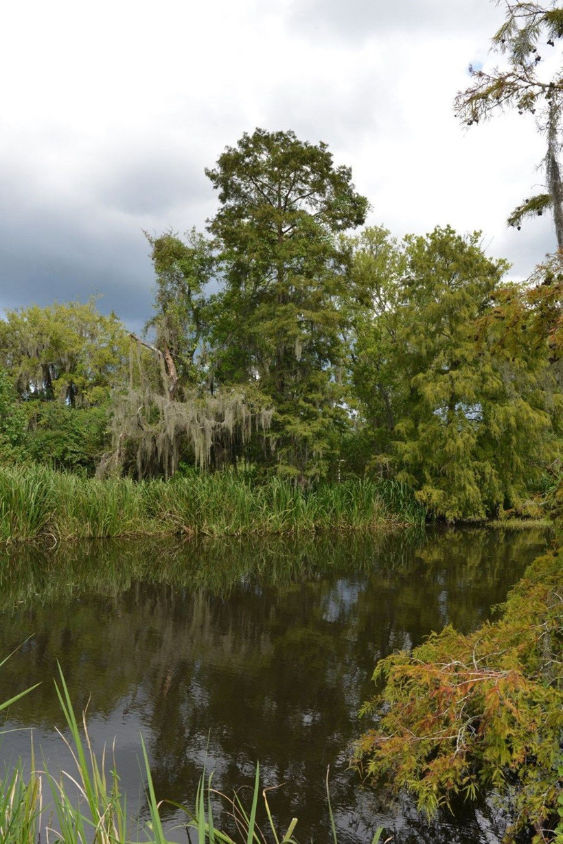 ABD'nin Louisana eyaleti 50 yıl içinde sular altında kalacak! - Resim: 3