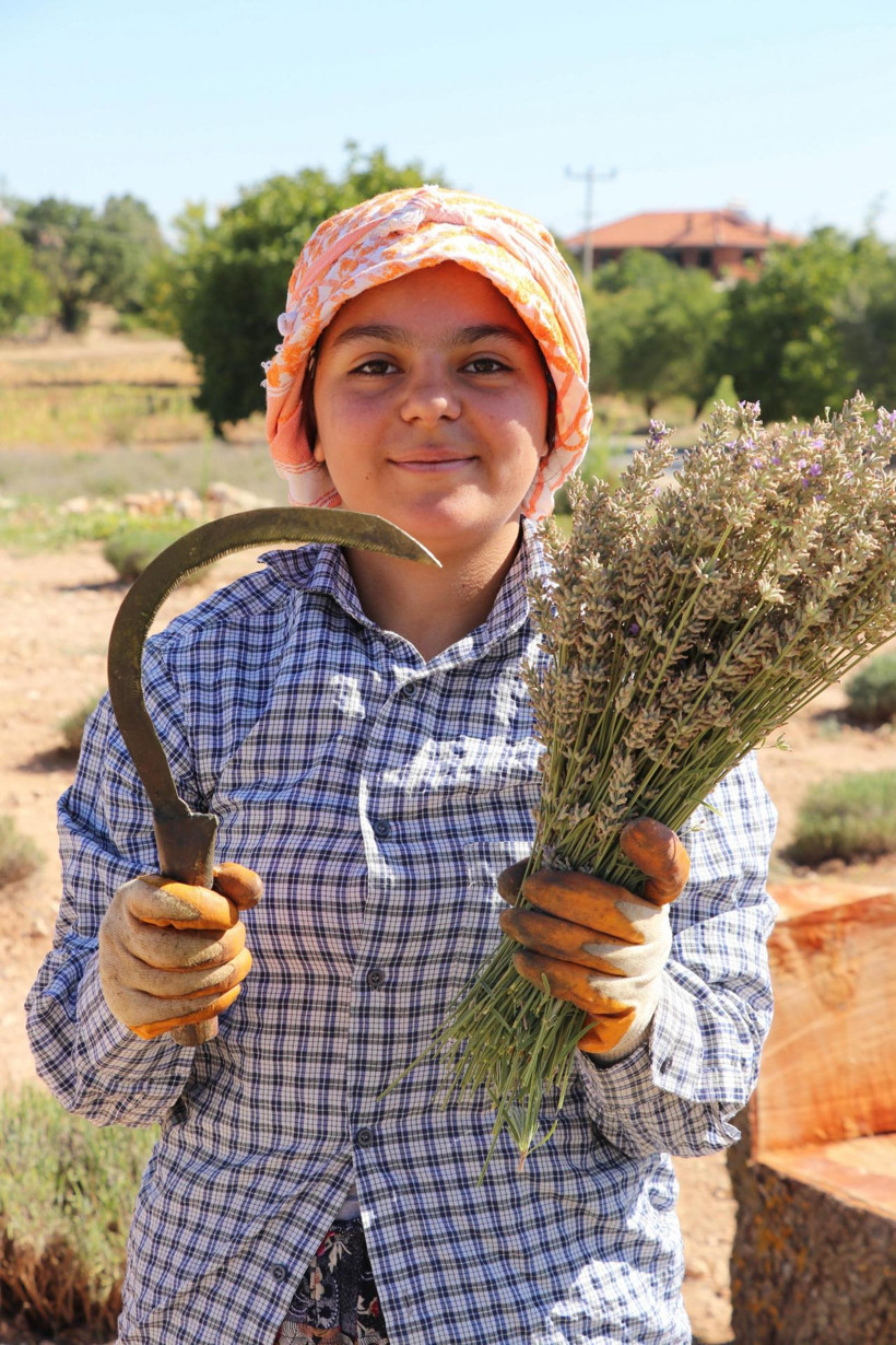 Denizli'de koronavirüs sonrası talep patladı! Gramı 2 liradan satılıyor - Resim: 4