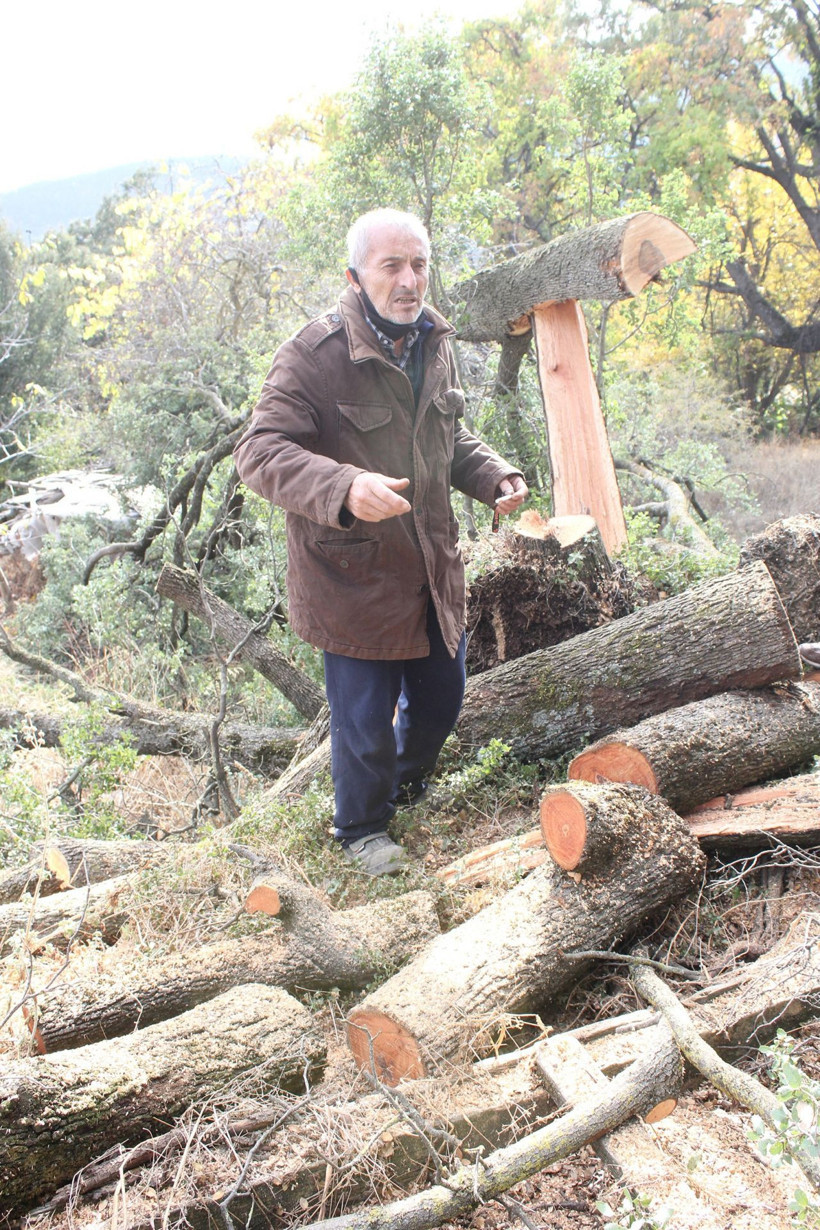 Antalya'da kardeşlerin ağaç kesme tartışmasında inanılmaz olaylar yaşandı - Resim: 1