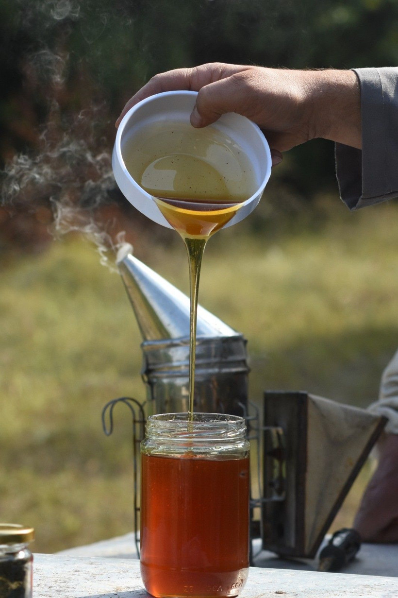 Bursa'da eskiden çöpe atılıyordu! Şimdi ABD Almanya İsrail sıraya girdi - Resim: 3