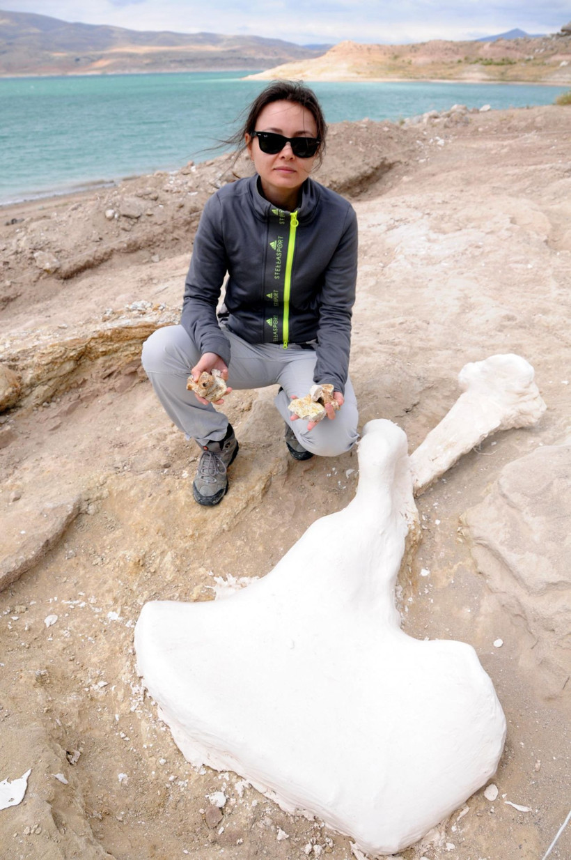 Kayseri'de keçi otlatan çoban buldu bölge kazıldı çıkanlar herkesi şaşırttı - Resim: 3