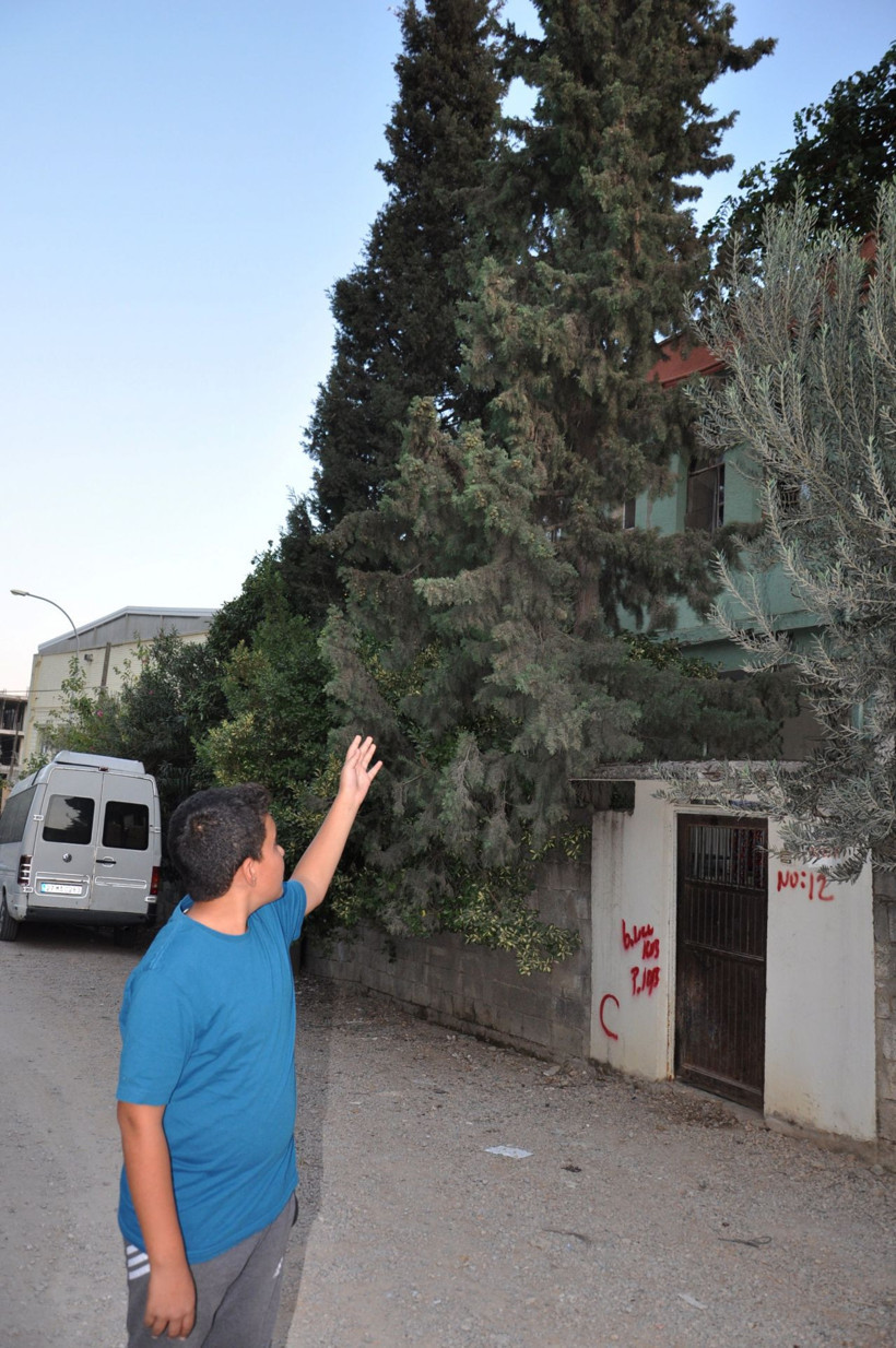 Köpekten kaçtığı ağaçta 2 gün mahsur kalan kediyi itfaiye kurtardı - Resim: 4