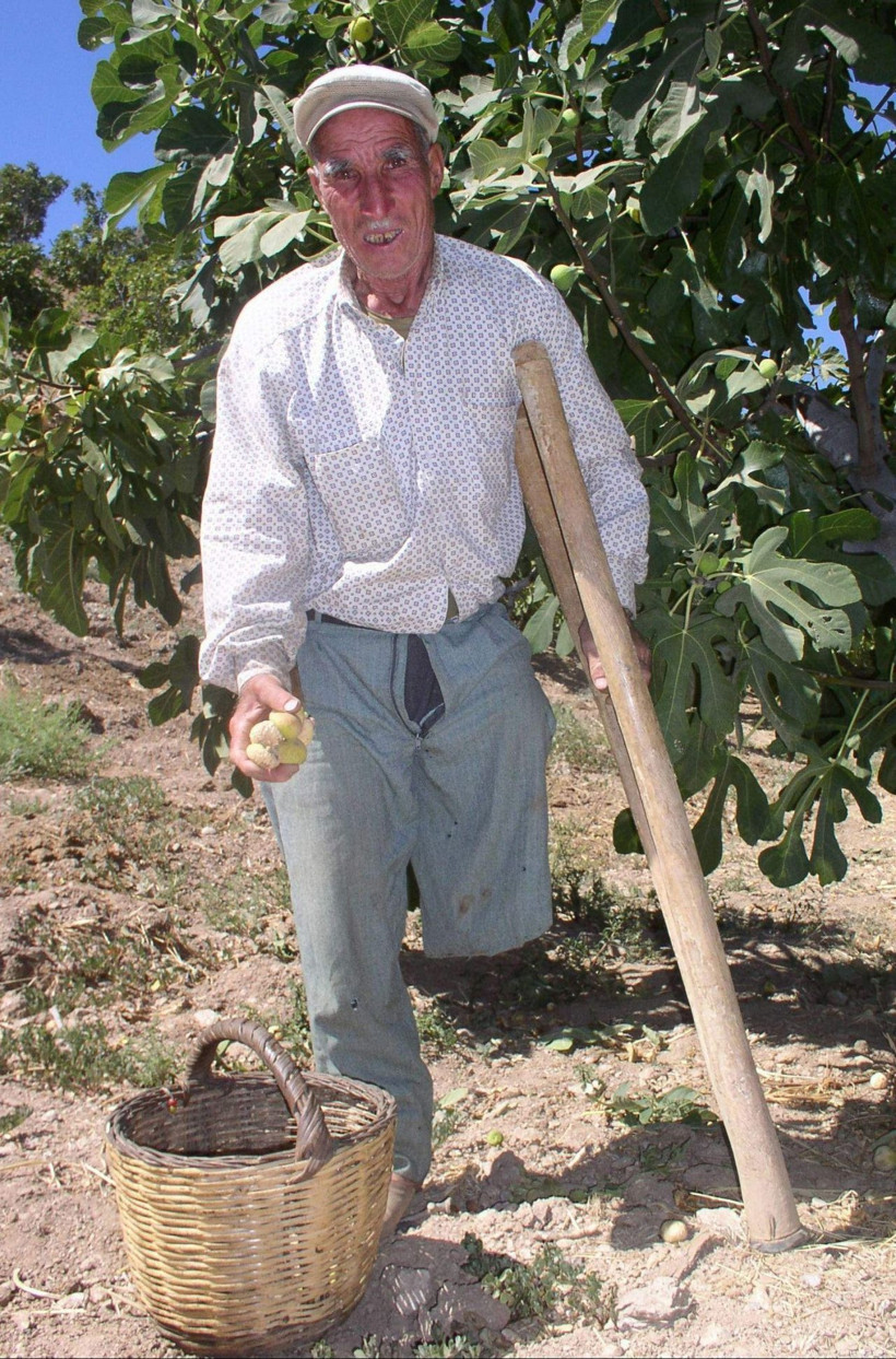 Aydın'da devletin yardım teklifini reddeden Mehmet dede herkesten çok çalışıyor - Resim: 4