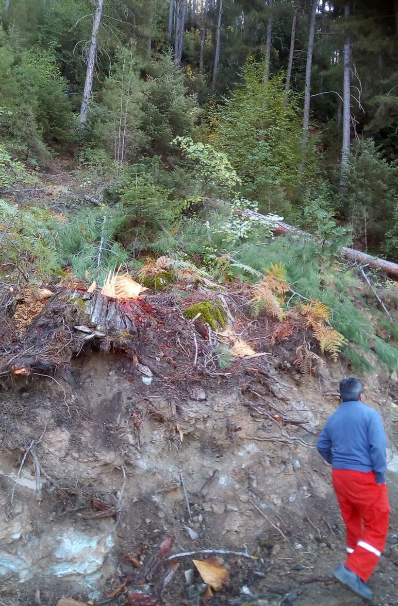 Baba oğlunun kestiği ağacın altında kalarak yaşamını yitirdi - Resim: 2