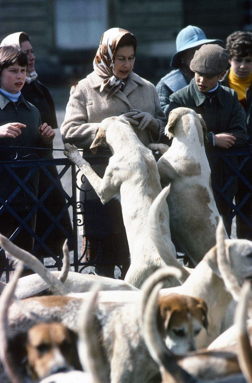 İngiltere Kraliçesi Elizabeth'in köpek mezarlığı şok etti! Hem de evinin bahçesinde - Resim: 1