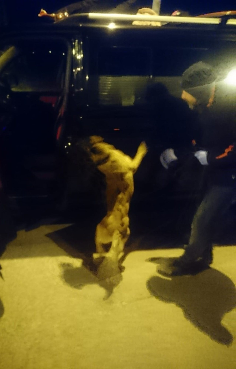 Ankara'da uyuşturucu tacirlerine geçit yok - Resim: 1