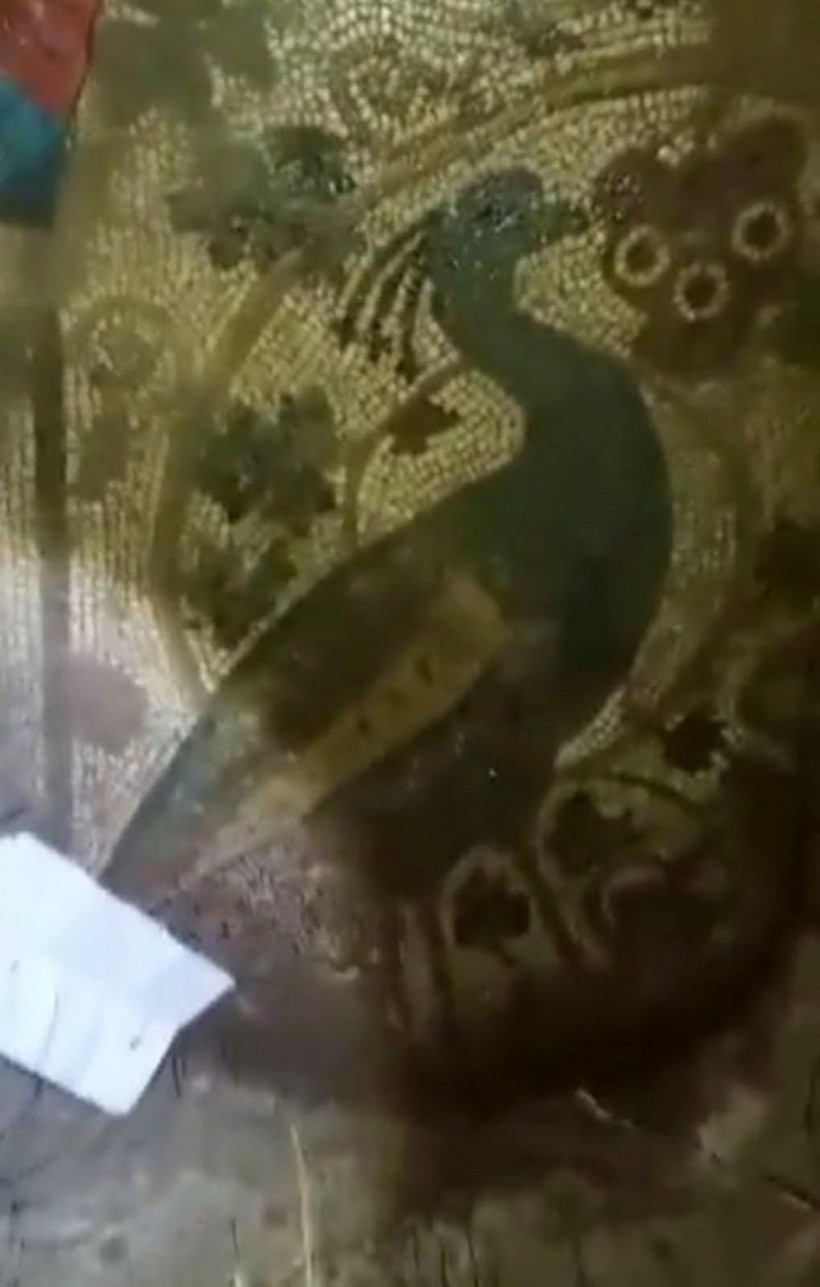 Jandarmadan milyonluk av! Yakalandılar - Resim: 2