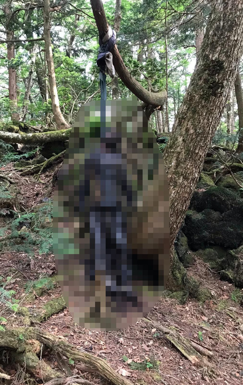 Japonya'daki intihar ormanında iki ceset bulundu! Türkler ihbar etti - Resim: 2