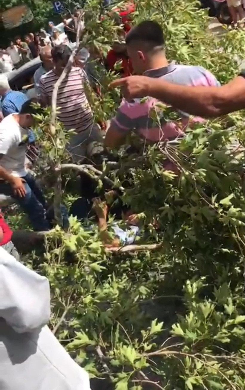 Gezi sırasında görülmez kaza! 3 bin yıllık Musa ağacı hastanelik etti - Resim: 1