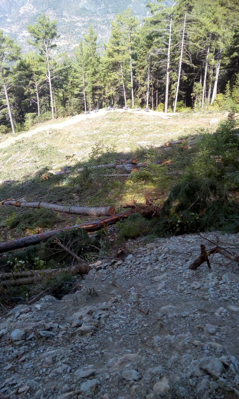Baba oğlunun kestiği ağacın altında kalarak yaşamını yitirdi - Resim: 3