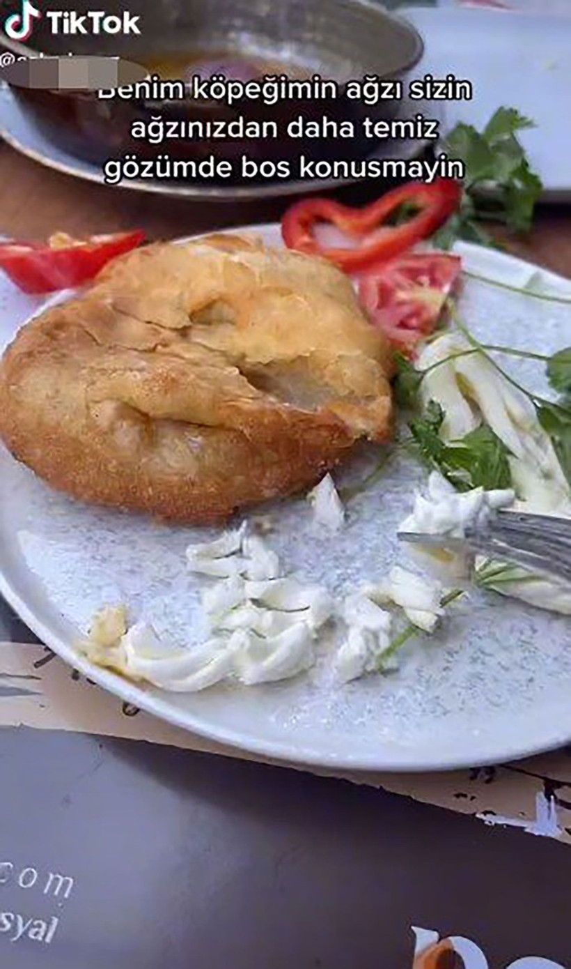 Tiktok skandalları bitmiyor! Lüks restoranda köpeğine çatalla yemek yedirdi - Resim: 3