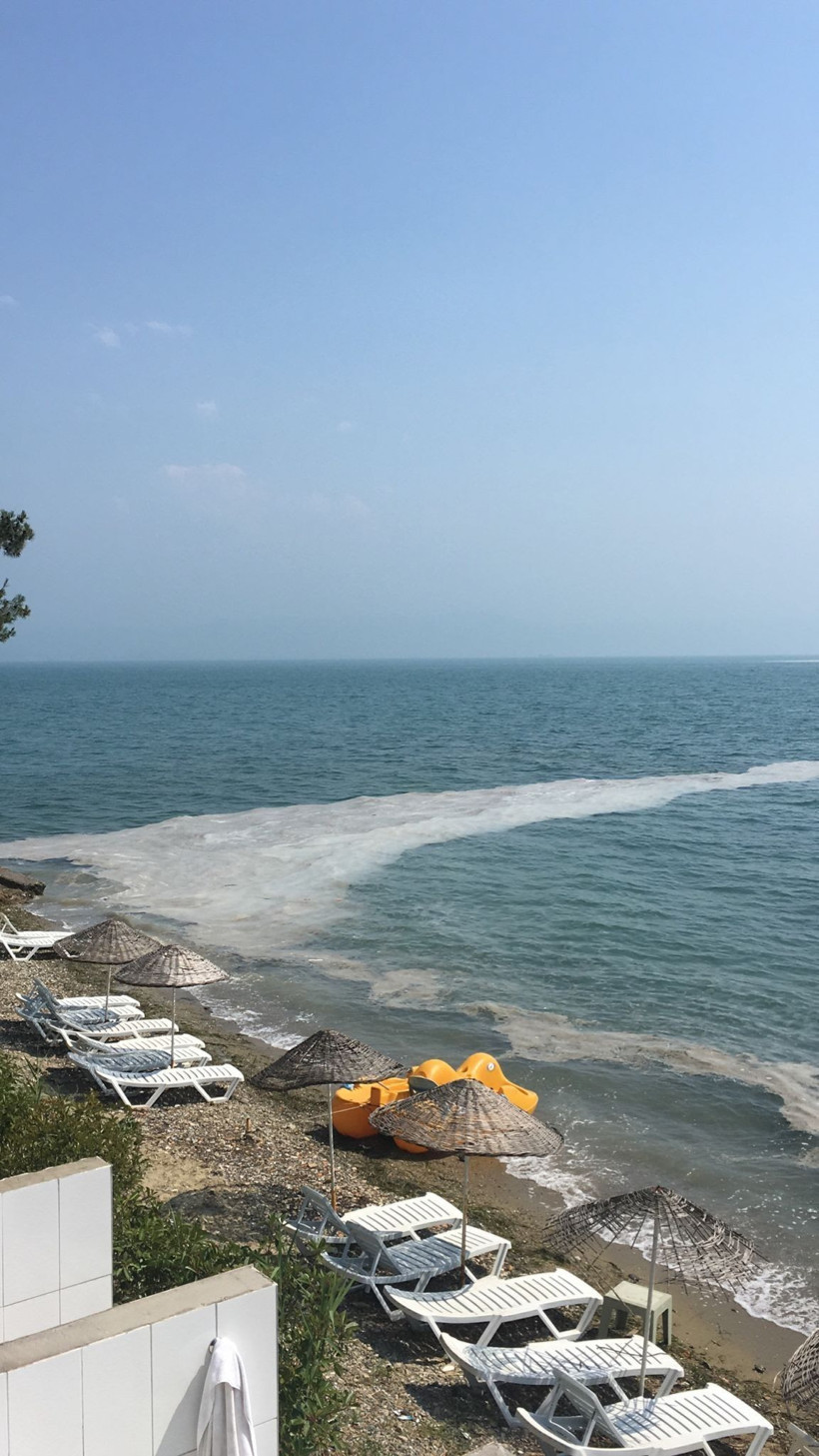 Kabus geri döndü! Bursa Gemlik sahilinde müsilaj bayram öncesi üzdü - Resim: 3