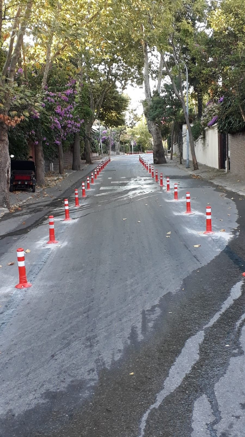 Adalar’da elektrikli araçların test sürüşleri başladı! - Resim: 1