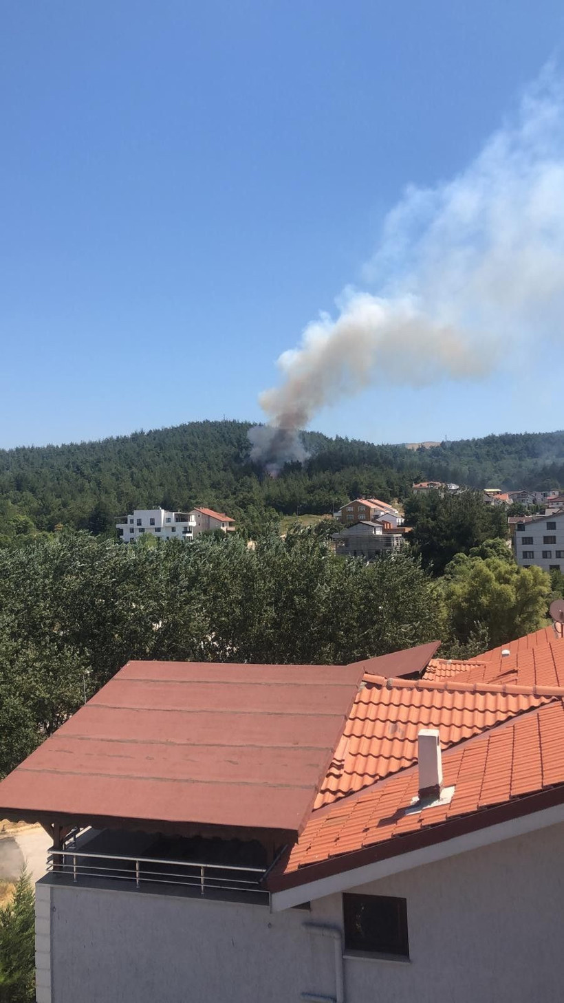 Bursa'da orman yangını! Villaların bahçeleri yanmaya başladı - Resim: 3
