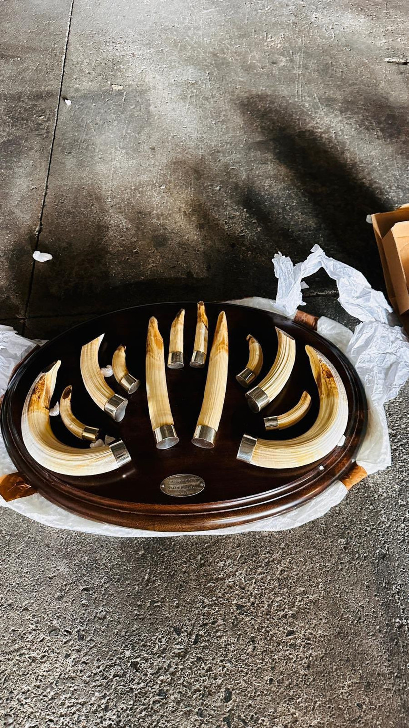 Bakanlık, Trabzon Limanı'nda 19 kargoya el koydu! İ&ccedil;inden &ccedil;ıkanlar şoke etti - Resim: 2