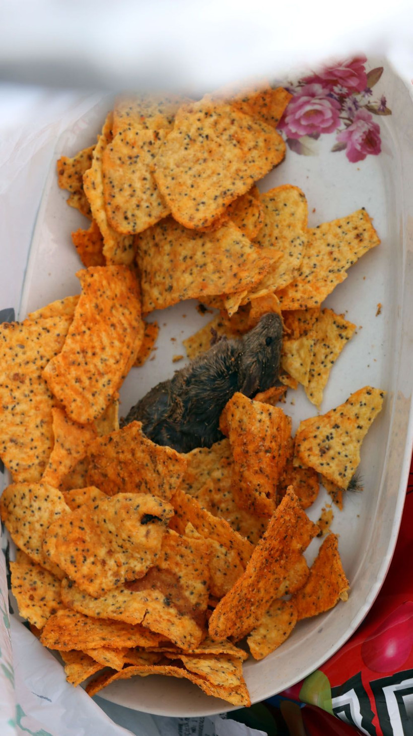 BİM'in cipsinden fare çıktı paketi açıp tabağa dökünce dehşete düştüler kusanlar da var - Resim: 3