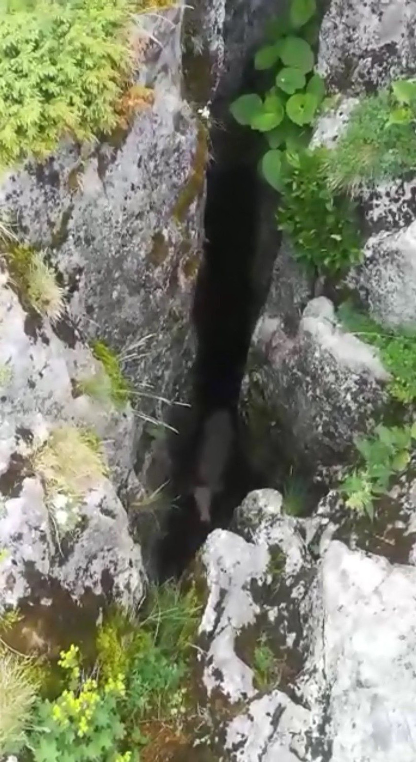 Mağaraya düşen inek için seferber oldular - Resim: 2