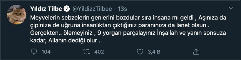 Yıldız Tilbe delirdi! Maske takmak da HES almak da aşı olmak da istemiyorum - Resim: 4