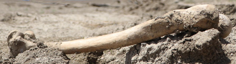 Her yer kemik kaynıyor! Palandöken Barajı'nın suları çekildi korku filmi gibi görüntüler çıktı - Resim: 4