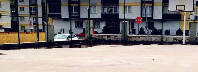 Gaziantep'te pittbul saldıran küçük Asiye komada iken 'Tofita Ayça' Tekindor: Biz ölelim, hayvanlar yaşasın! - Resim: 3