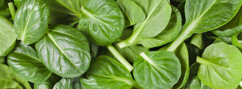 Bilim insanları araştırdı! Ispanağın içindeki hormon yasaklı maddeler listesinde - Resim: 3