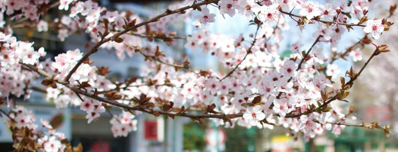 İstanbul sandık başına gidiyor! İşte hava durumu - Resim: 3