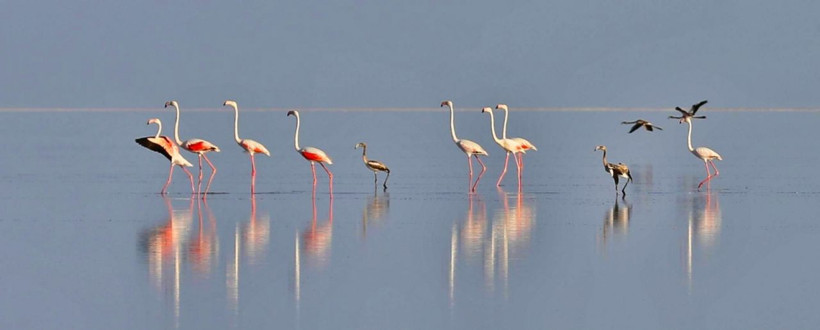 Tuz Gölü'nün gün batımındaki eşsiz güzelliği hayran bırakıyor - Resim: 1