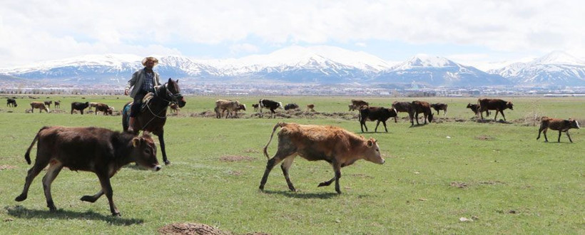 5 bin lira maaş teklifine rağmen çalışan yok - Resim: 4