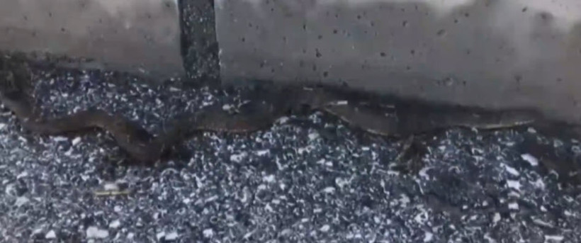 Sel suları getirdi! Bir ilçenin halkı korku içinde - Resim: 1