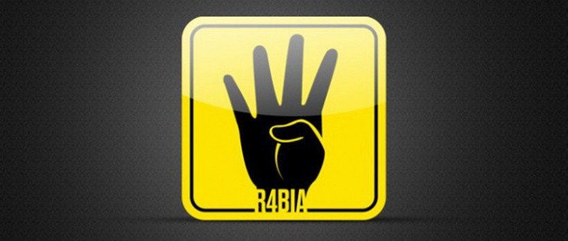 Almanya 'Bozkurt ve Rabia' işaretini yasaklıyor - Resim: 3