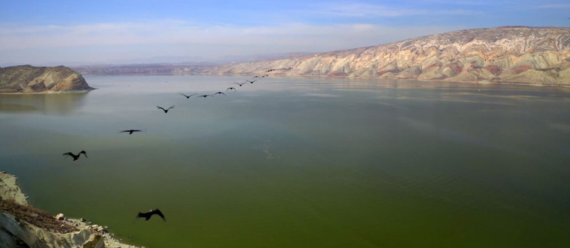 Nallıhan'da ip gibi süzüldüler! Drone ile havadan görüntülendiler - Resim: 2