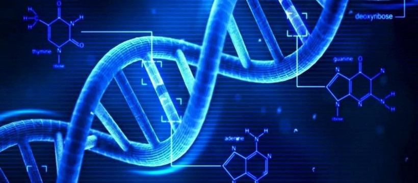 Çocuklukta cinsel taciz, DNA'yı da değiştiriyor - Resim: 4