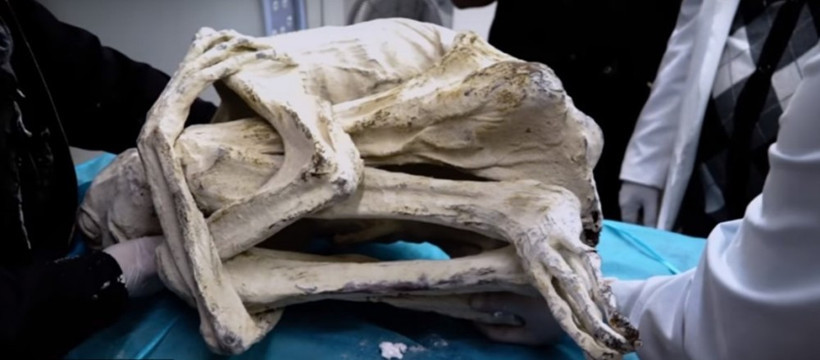Peru'da bulunan uzaylı mumyası tarihi baştan yazacak çünkü... - Resim: 1