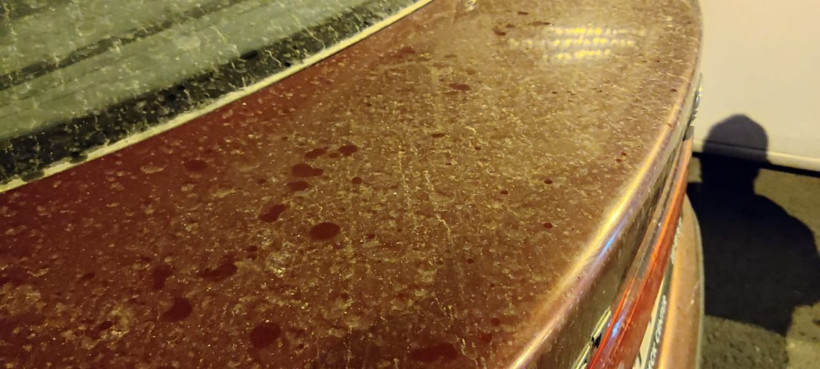 Günlerdir uyarı yapılıyordu İstanbul’a çamur yağdı! Vatandaş soluğu oto yıkamacıda aldı - Resim: 3