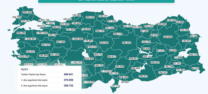Türkiye'de toplam aşı sayısı 48 milyon dozu geçti Nüfusunun yarısı aşılanan 8 il belli oldu - Resim: 3