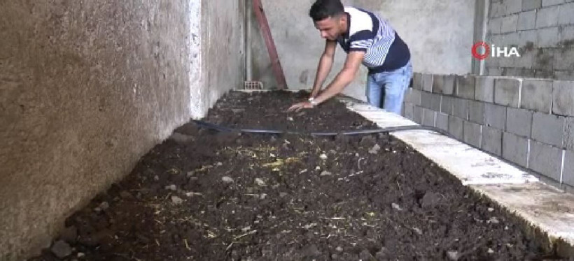 Gaziantep'te internetten görüp bu işe başladı! 20 yaşında ayda bir ton üretiyor - Resim: 3