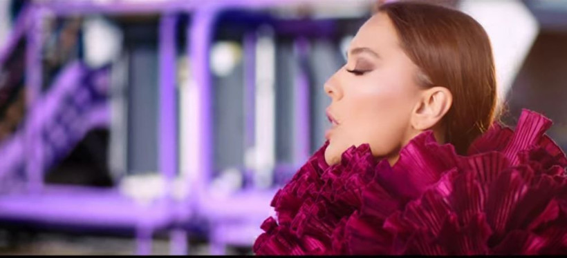 Demet Akalın'ın Trendyol el ütüsü alışverişiyle imtihanı kendi hatası yüzünden alay konusu oldu! - Resim: 2