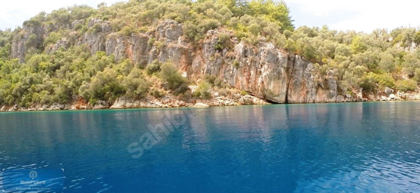 İnternetten satışa çıktı! Muğla Karaca Adası'nın fiyatını duyan inanamadı - Resim: 1