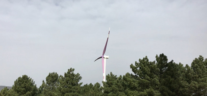 Ölümleri mor renk durdurdu! - Resim: 3