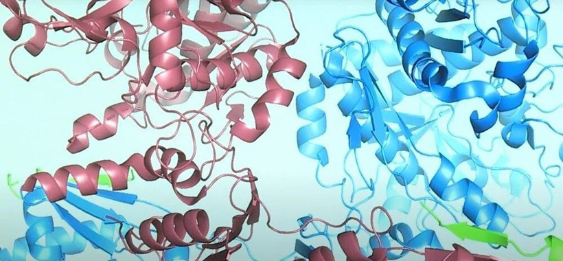 Akrep zehri koronavirüse karşı koruyabilir mi? Bilim insanlarından sıra dışı ilaç - Resim: 2