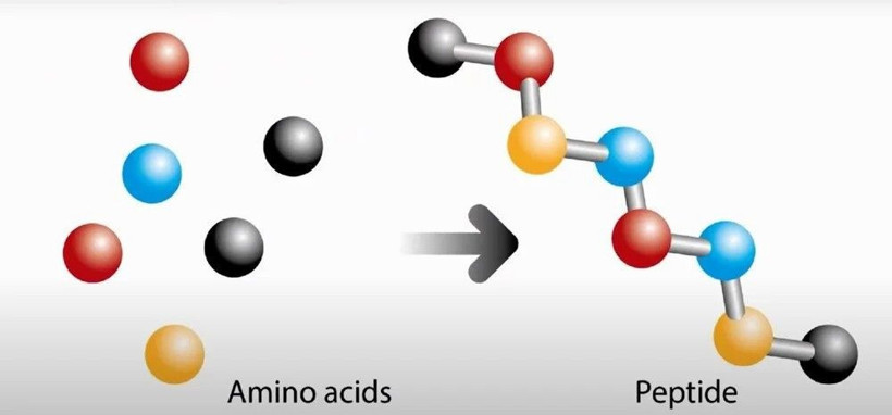 Akrep zehri koronavirüse karşı koruyabilir mi? Bilim insanlarından sıra dışı ilaç - Resim: 3