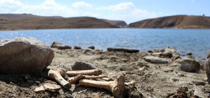 Her yer kemik kaynıyor! Palandöken Barajı'nın suları çekildi korku filmi gibi görüntüler çıktı - Resim: 1