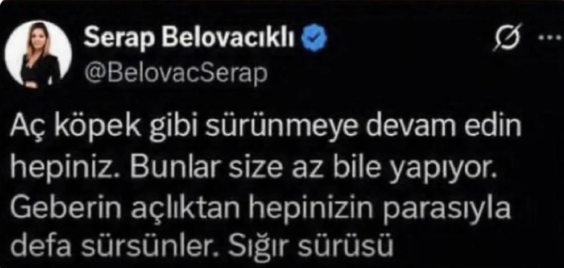 Serap Belovacıklı hakkında soruşturma başlatıldı - Resim: 0