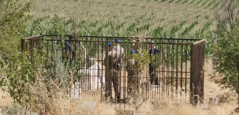17 gündür kayıp olan küçük Narin'in son sözleri ortaya çıktı! - Resim: 1